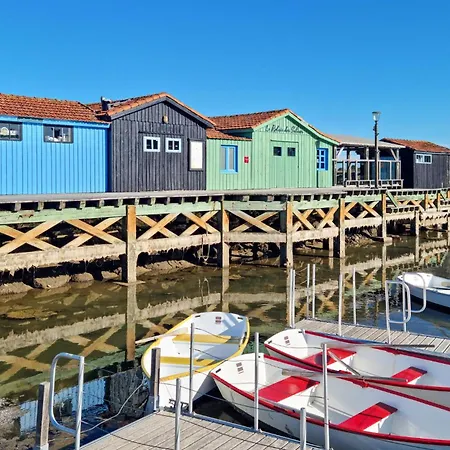 Apartment Proche Royan